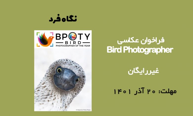 فراخوان عکاسی Bird Photographer 2023