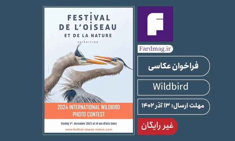 فراخوان عکاسی پرندگان 2024 Wildbird