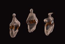 بررسی نمایشگاه «امید آمدن لغتی» شادی مرادی: از خاک تا امید